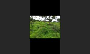 Imagem 2: Terreno de 22 há em Itaguara MG