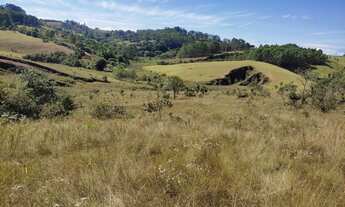 Imagem 4: Terreno de 10 há em Oliveira