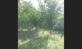 Imagem 4: EXCELENTE OPORTUNIDADE! VENDO SÍTIO, Povoado Comum ( EXTREMOZ). 20X100. VALOR: 78 MIL