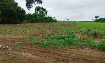 Imagem 6: VENDO TERRENO COM 2.500M² E ÓTIMA LOCALIZAÇÃO