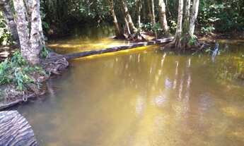 Imagem 7: Fazenda pronta 108 alqueires por R$10 milhões no Pará