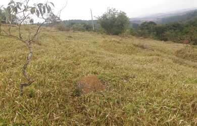 Imagem 3: Fazenda de 61 ha em passa tempo