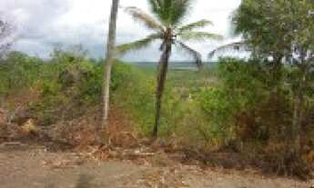 Imagem 1: área 2 hectares a menos de 8 minutos da praia de mangue seco