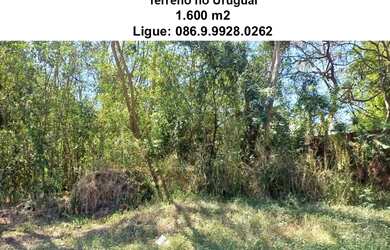 Imagem 7: Terreno no Uruguai