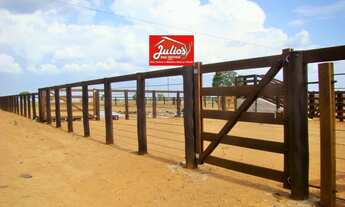 Imagem 4: Madeiras de acapu a venda esticadores mourões para currais