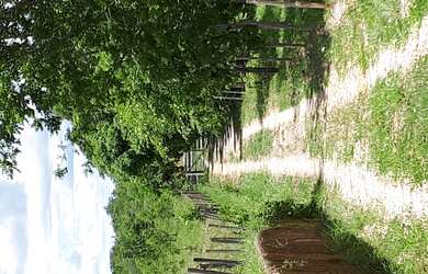 Imagem 2: Sitio das Flores