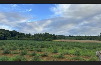 Imagem 4: Terreno a venda Morro Estevão