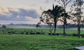 Imagem: R$ 8,5 milhões fazenda 1400 hectares à