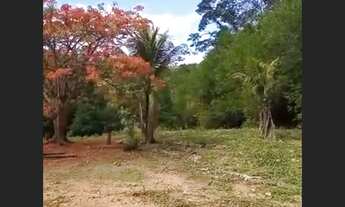 Imagem 6: Fazenda de 26 ha em Santa do Pirapama