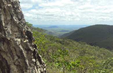 Imagem 7: Excelente área para loteamento de chácaras ou criação de gado