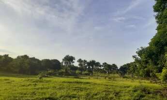 Imagem: 1.036 Alqs Abertos Planta Soja Plana Região