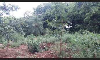 Imagem 7: ÁREA 1.33HEC PRÓX. OTÁVIO PÉCORA