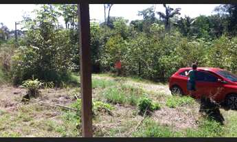 Imagem 4: Manaus, BR174 Km21, Ramal Pau Rosa Km9, Sítio Bom Jesus, Chácara 35