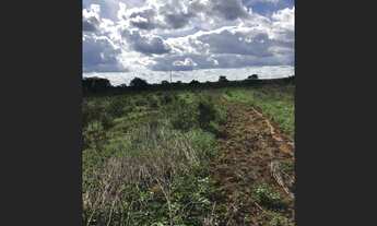 Imagem 3: 292 Alqs Pra Soja Beira Rodovia da Pivô Região Ipueiras TO