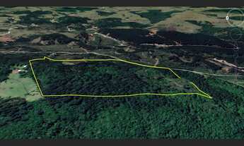 Imagem 3: ÁREA RURAL LOCALIZADA NO JUÁ (ENTRE CAXIAS DO SUL E SÃO FRANCISCO DE PAULA