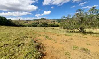 Imagem 7: Excelente Sítio - 4.9 Hectares