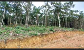 Imagem 5: Terreno em loteamento fechado com segurança