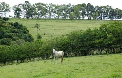 Imagem 8: VENDO FAZENDA (392he)-MINAS GERAIS