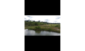 Imagem 3: 2 Lotes na Vicinal 14 de Entre Rios-Roraima