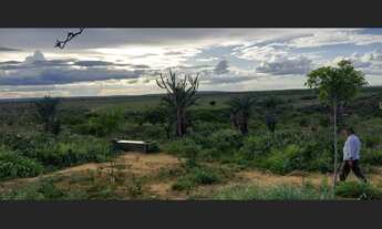 Imagem 3: Propriedade rural a venda