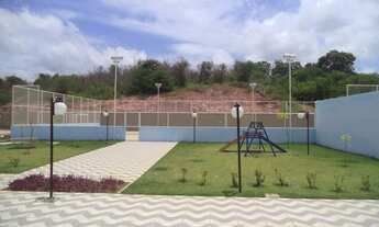 Imagem 6: Solaris Celeste II