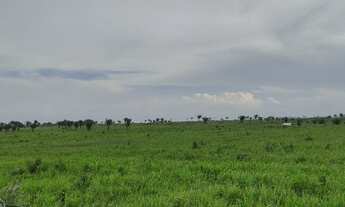 Imagem 1: Terra pronta de 100 hectares por R$ 800 mil reais próximo de Castanhal