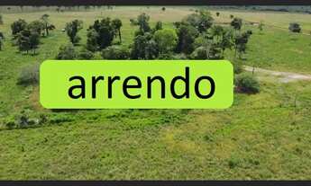 Imagem: 185 Alqs Arrendamento Disponivel Pra Soja