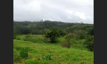 Imagem: Paraíso em Jacobina - 9.100 m²