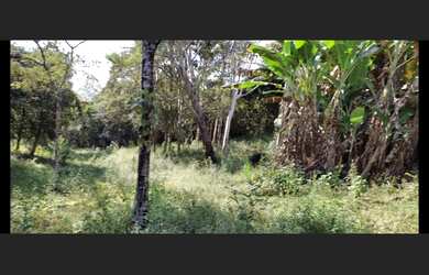 Imagem 6: Sítio de 10 há em Passa Tempo MG