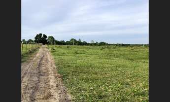 Imagem 3: Chácara de 1500m² por R$45.000,00 próximo ao Canta Galo - Alcobaça, Bahia