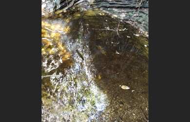 Imagem 2: Três hectares de paz e beleza na Serra do Intendente, com nascentes