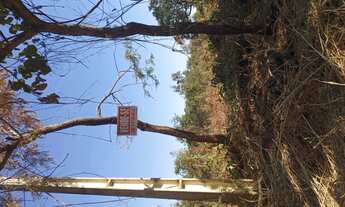 Imagem: Vendo chácara no setor Concórdia