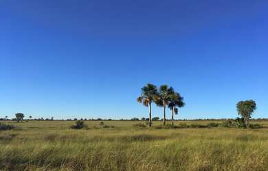 Imagem 3: Santuário do Jalapão