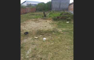 Imagem 7: TERRENO EM BUSCA VIDA