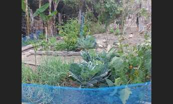 Imagem 6: Sitio de 32 mil mt em passa tempo