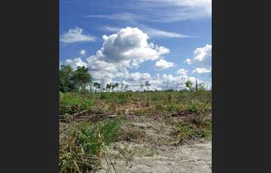 Imagem 3: Fazenda 3656 hectares 2.300.000,00 no Pará estão em matas tem escrituras