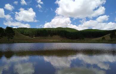 Imagem 6: PROPRIEDADE RURAL COM 24 HECTARES EM SAO FRABCISCO DE PAULA