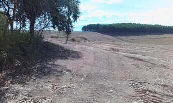 Imagem 4: 44 alq em Charqueada/Piracicaba