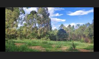 Imagem 3: Terreno de 25 ha em Itaguara MG