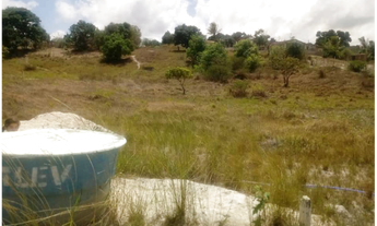 Imagem: Terreno em Gravata