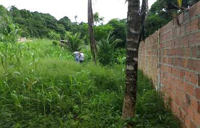 Imagem 3: Excelente terreno murado em Ilha de São João 1860m2