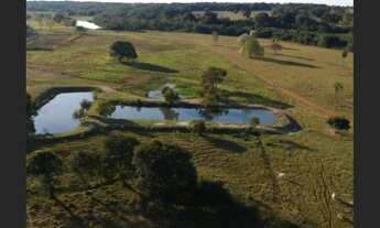 Imagem 2: Fazenda em Poconé MT
