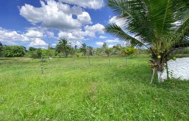Imagem 2: Sítio em Nazaré das farinhas