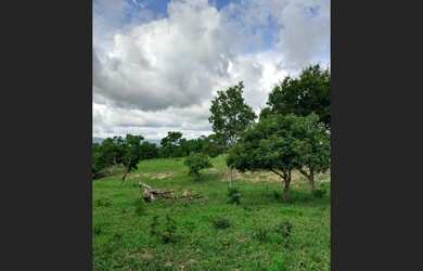 Imagem 4: Chácara 3 alqueire é Meio Sanclerlandia