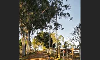 Imagem 7: Fazenda em Brejoes