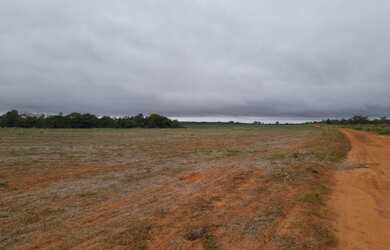 Imagem 2: 300 Alqs Plantando Ótima Logística Região Palmas TO