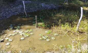 Imagem 3: Terreno de 13 há em Itaguara MG
