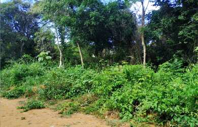 Imagem 6: Investimento Inteligente: Terreno Rural 1000m² - 10 Min da Cidade