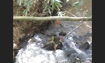 Imagem 4: Fazenda de 253 ha em Paraopeba