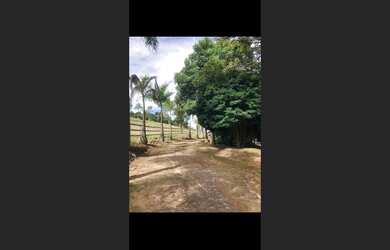 Imagem 5: Fazendinha de 18 há em Passa Tempo MG